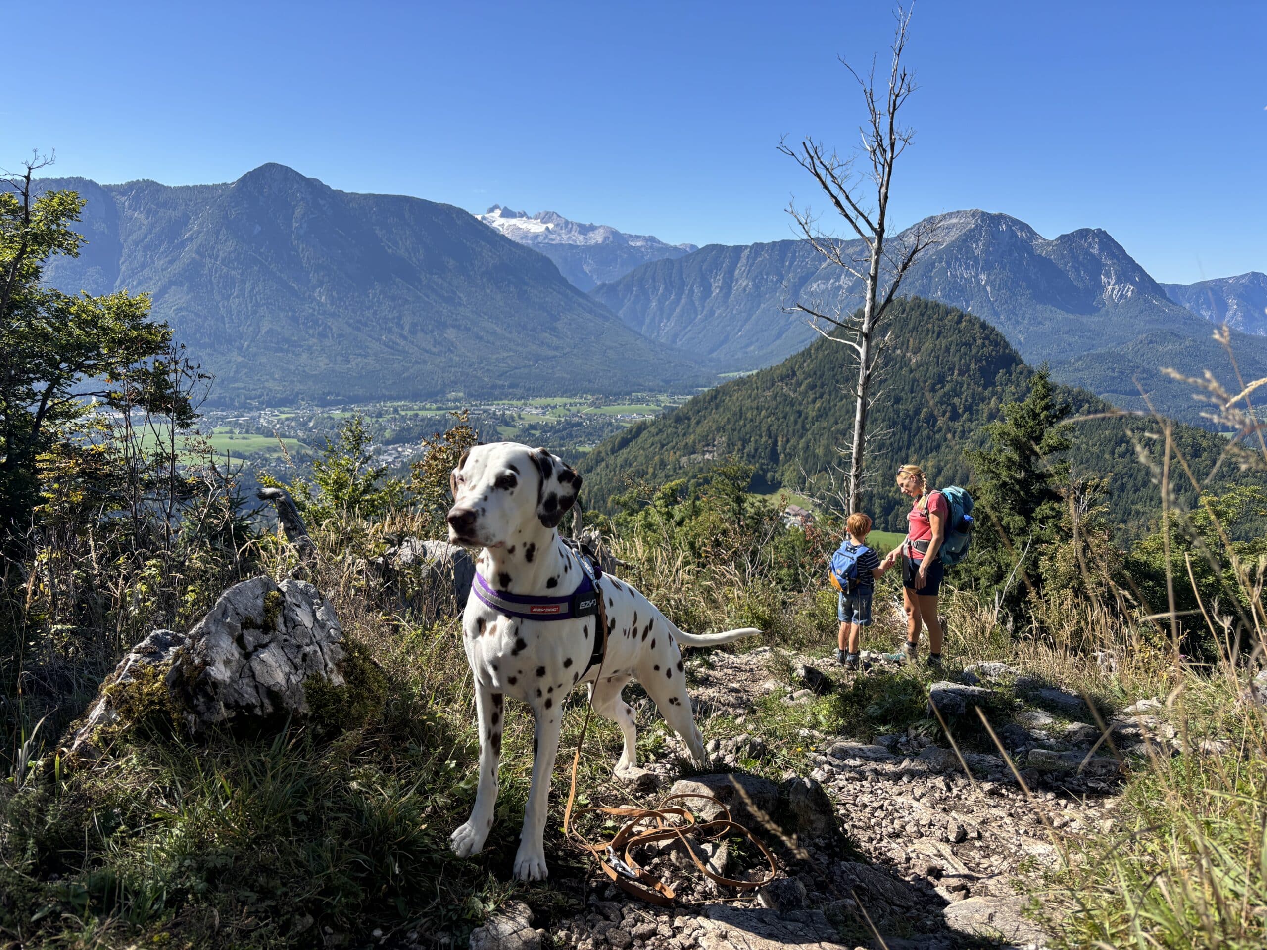 Aufstieg auf Ahornkogel mit Kind und Hund; Blick auf Dachstein