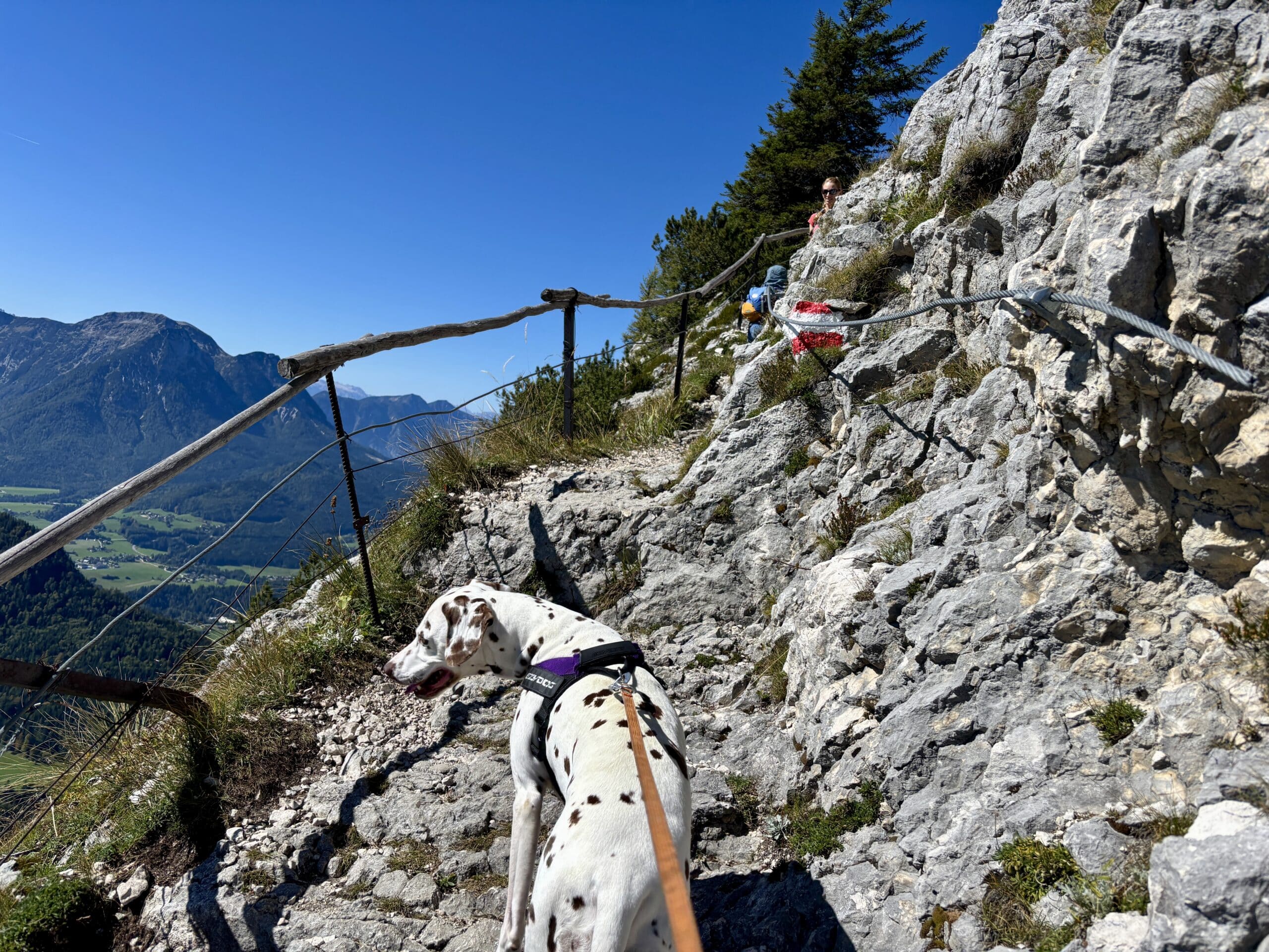 Schlüsselstelle mit Hund am Weg auf den Ahornkogel