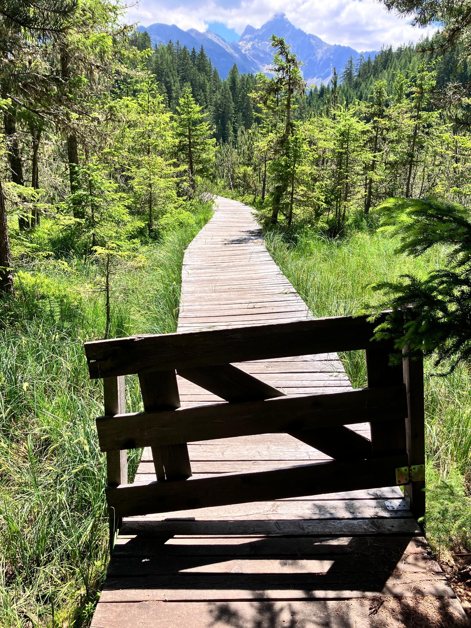 Brandsee in Tirol Wandern; Holzstege zum Moorsee