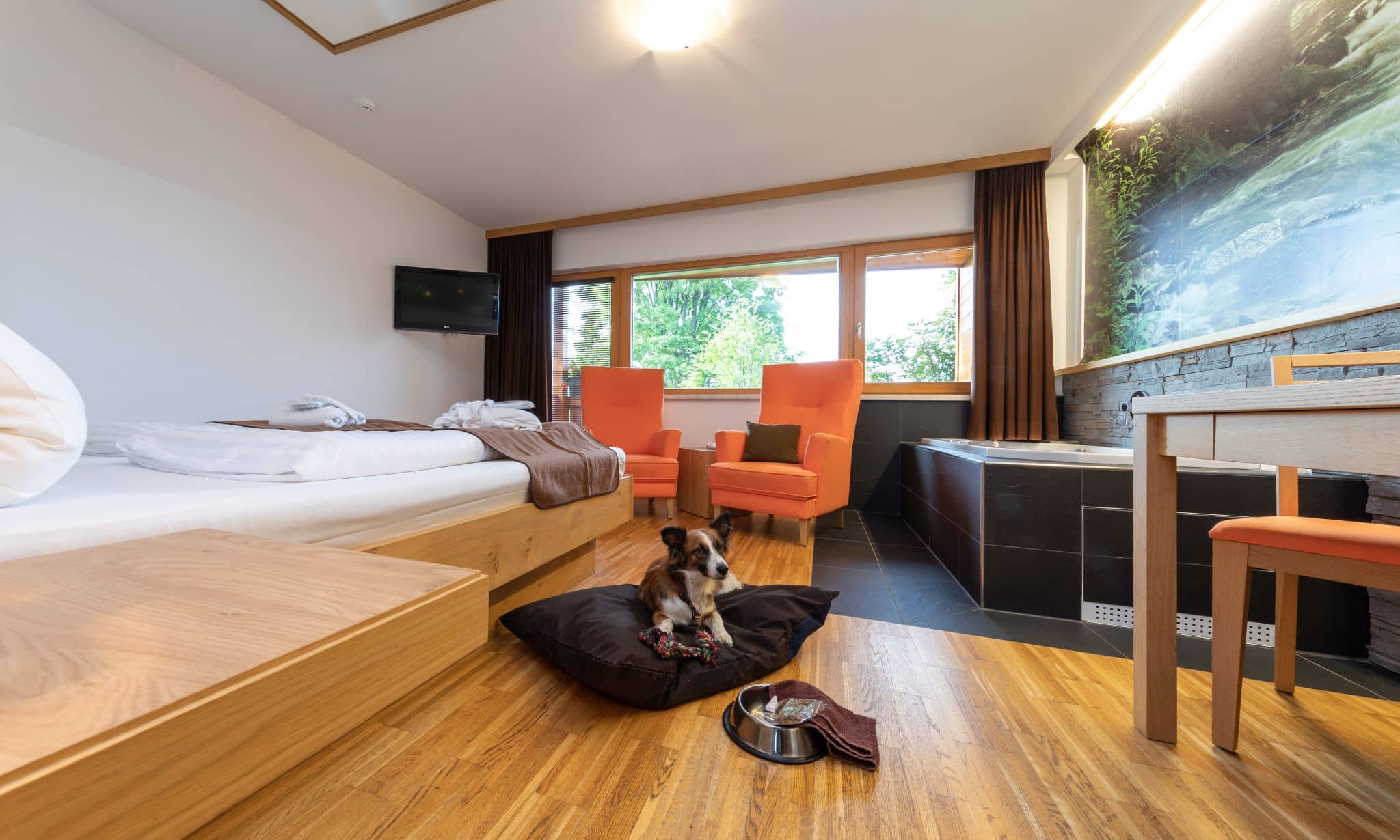 Hund im Zimmer Hotel Almfrieden