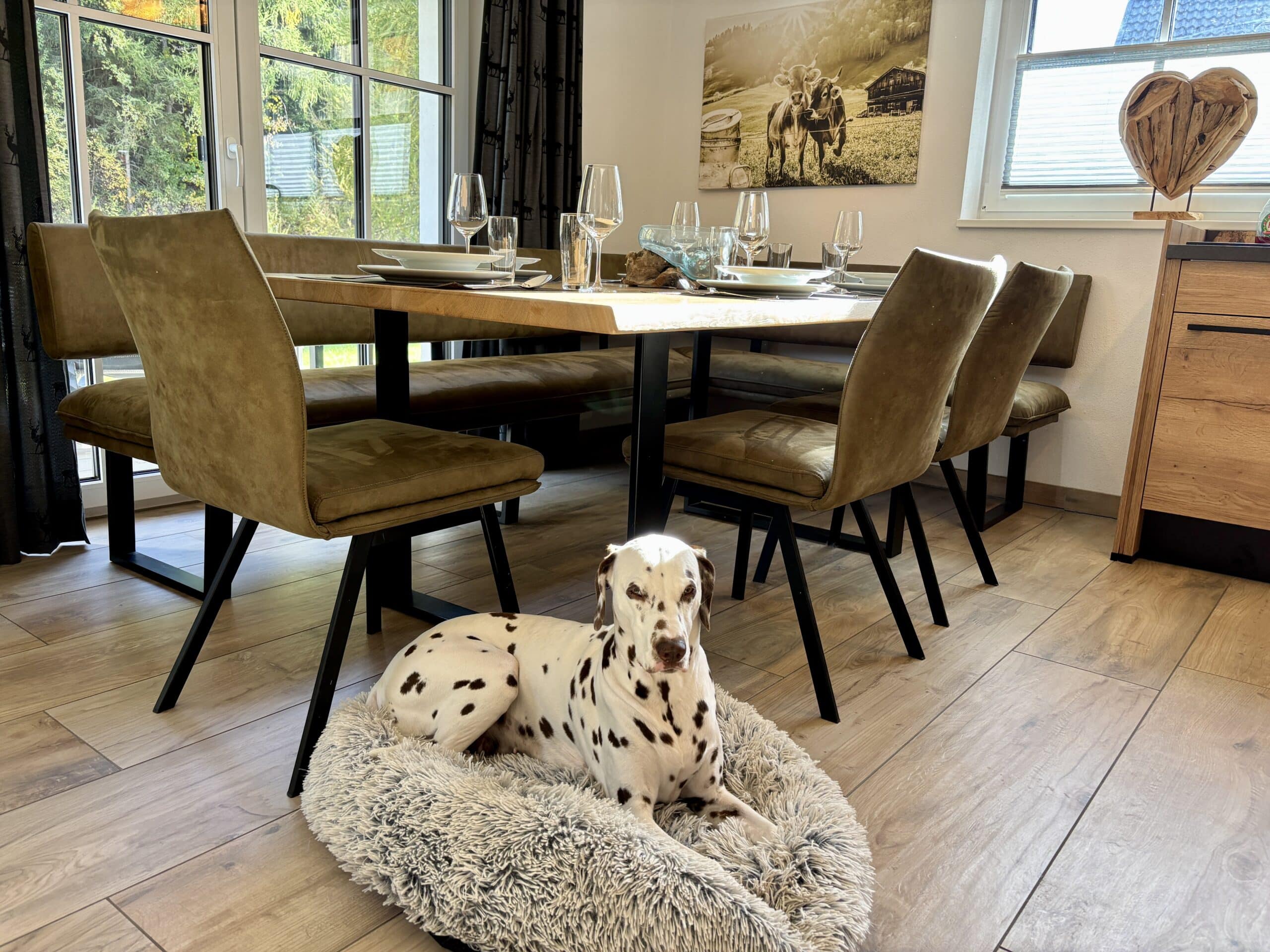 AlpiNest Wohnraum, Urlaub mit Hund