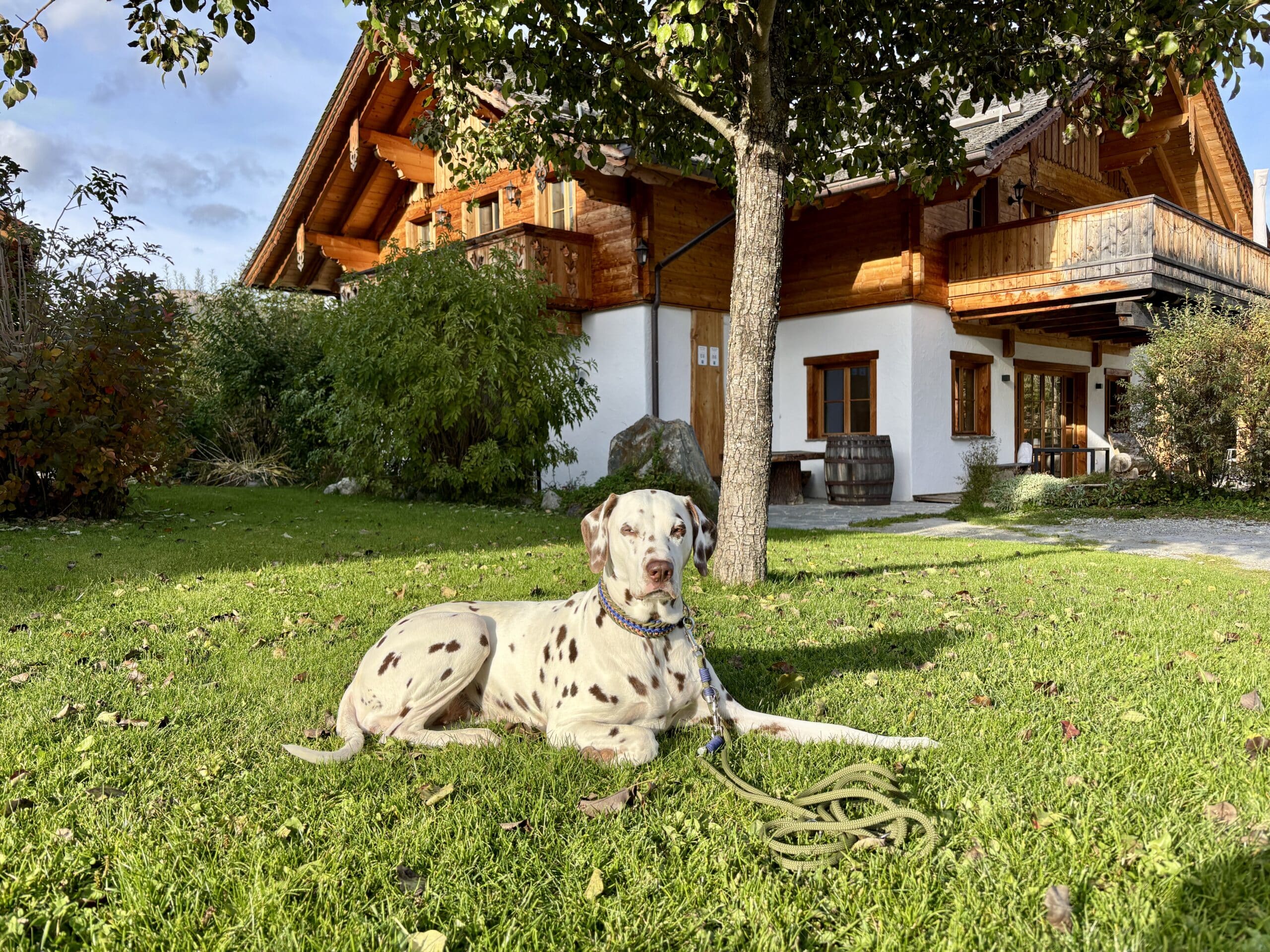 AlpiNest Gartenanlage Chalet, Urlaub mit Hund