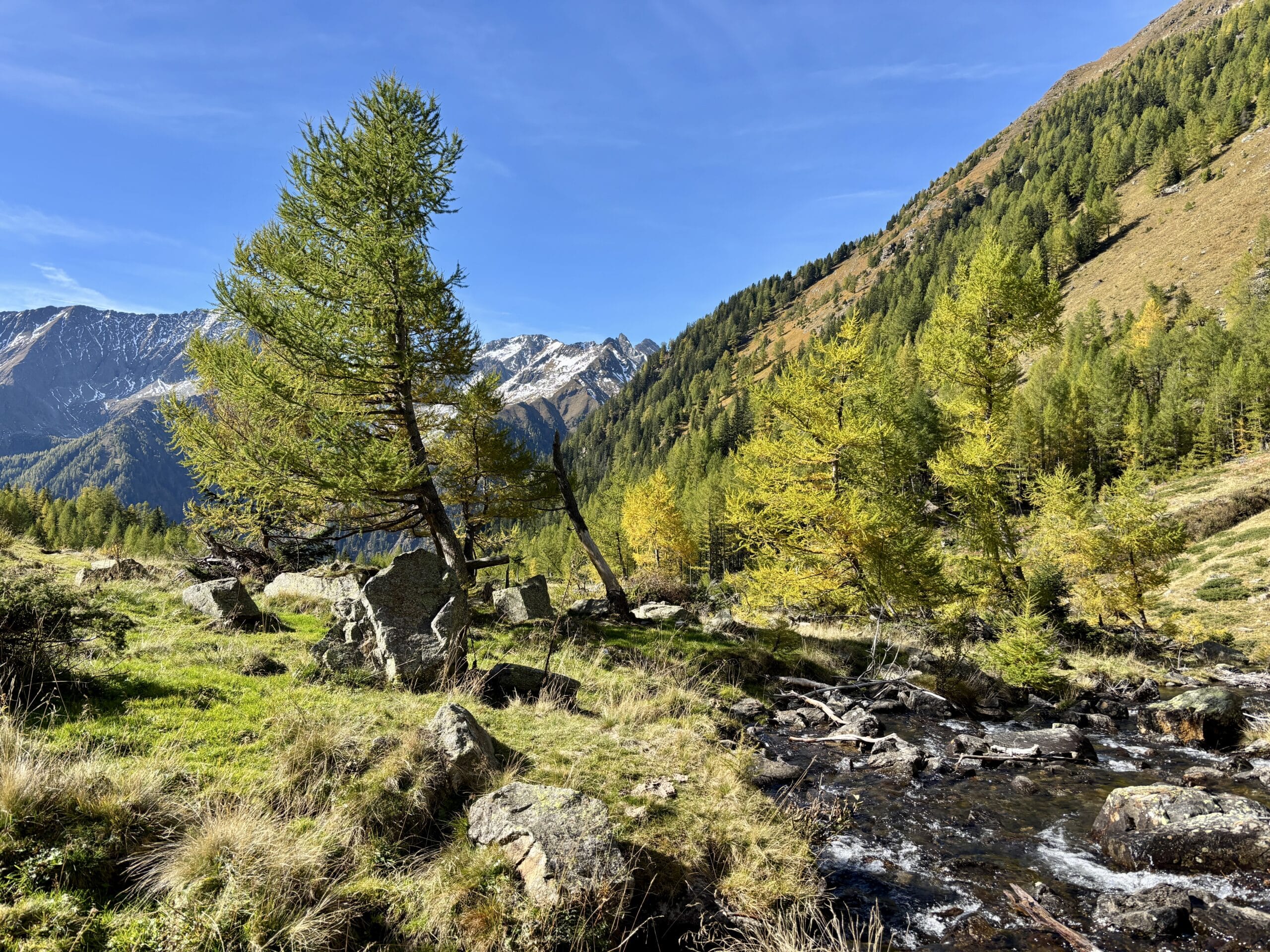 Wanderung Unterer Landschitzsee Aufstieg, Hochtal, Bach