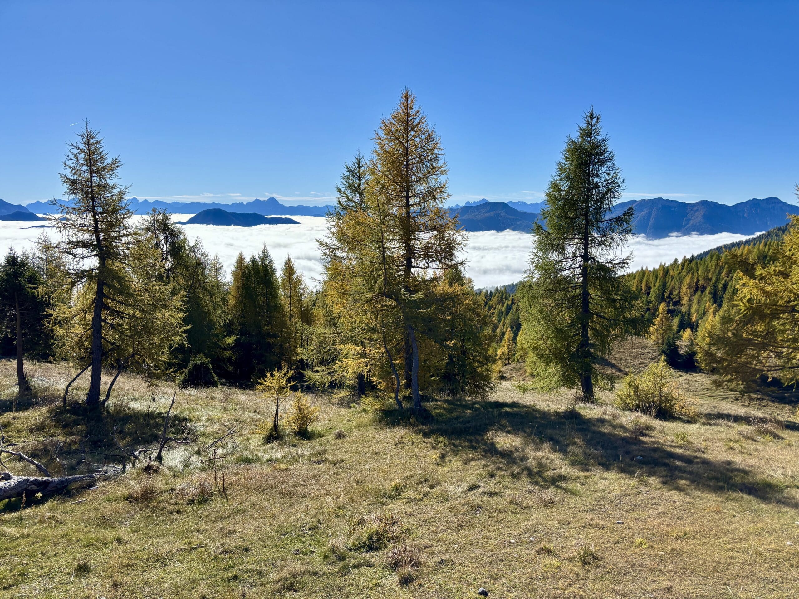 Rundwanderung Goldeck Kärnten