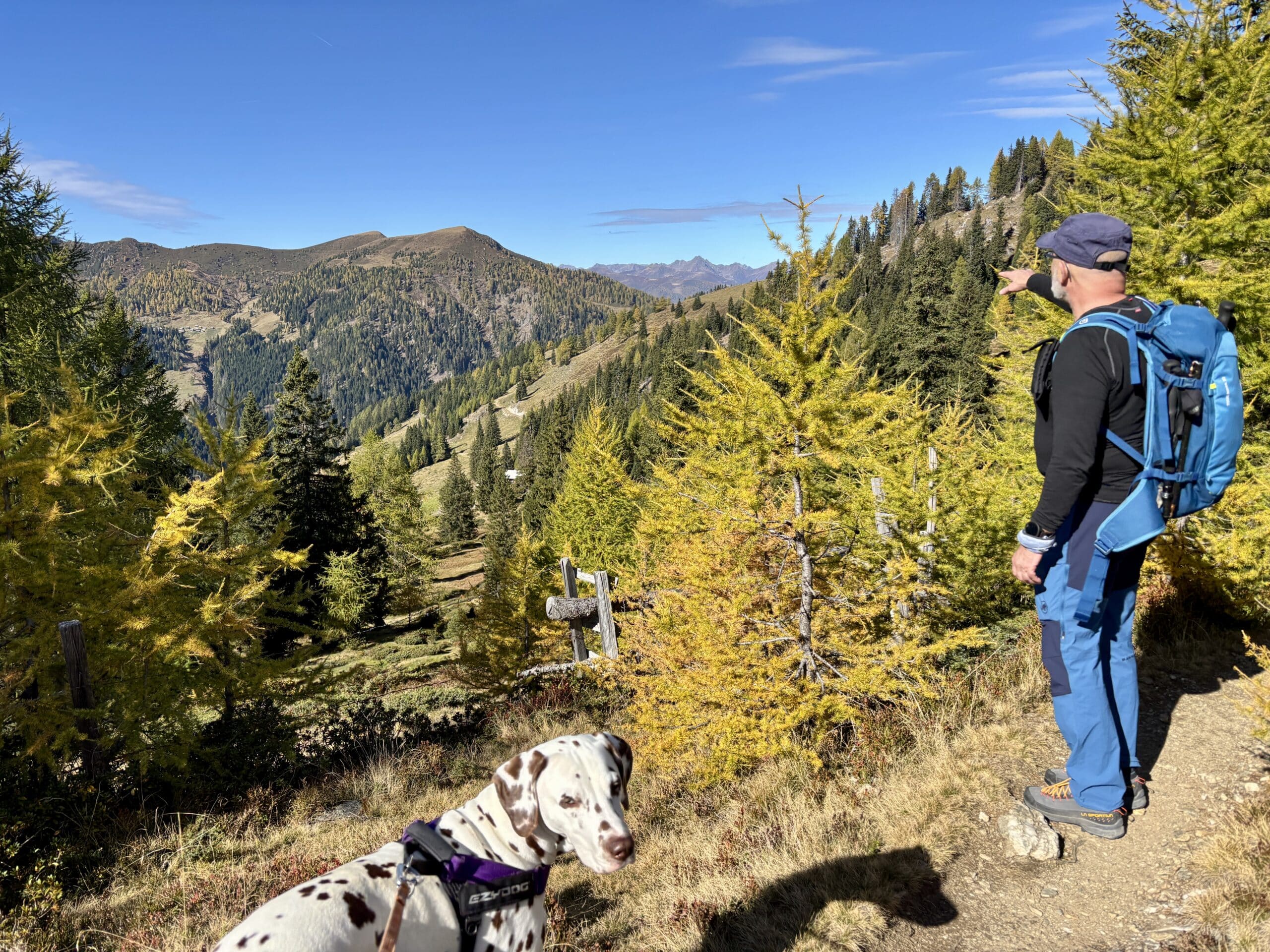 Mann mit Hund beim Wandern am Goldeck