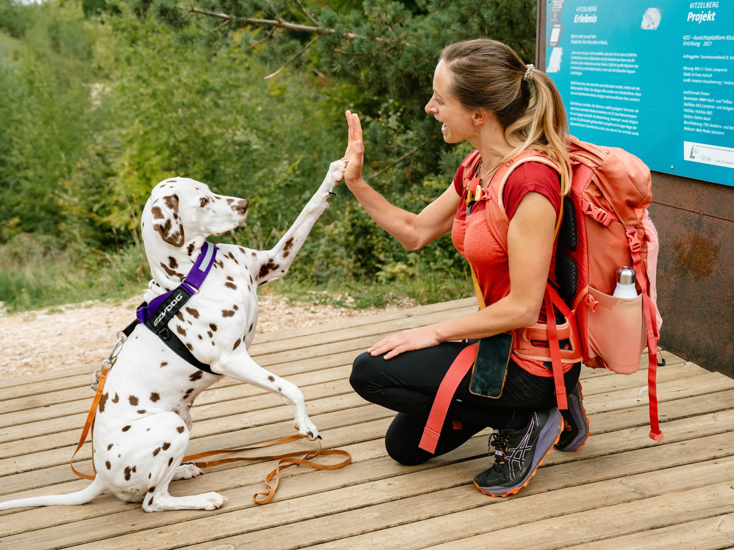 Sonja Stocker von WauWander und Dalamtiner Serena