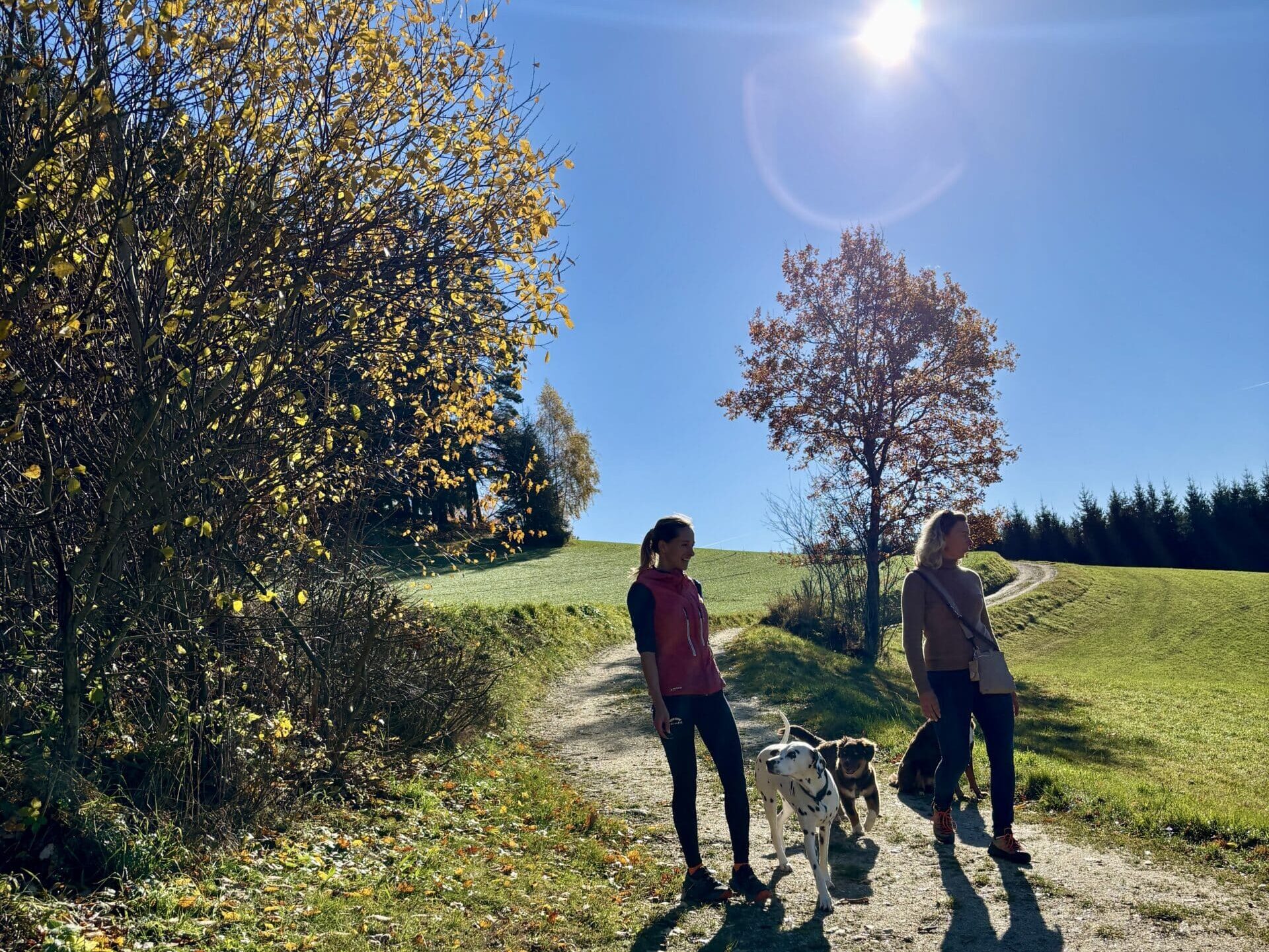 Wandern mit Hund in Oberösterreich, Mühlviertel, Exenschlagrunde