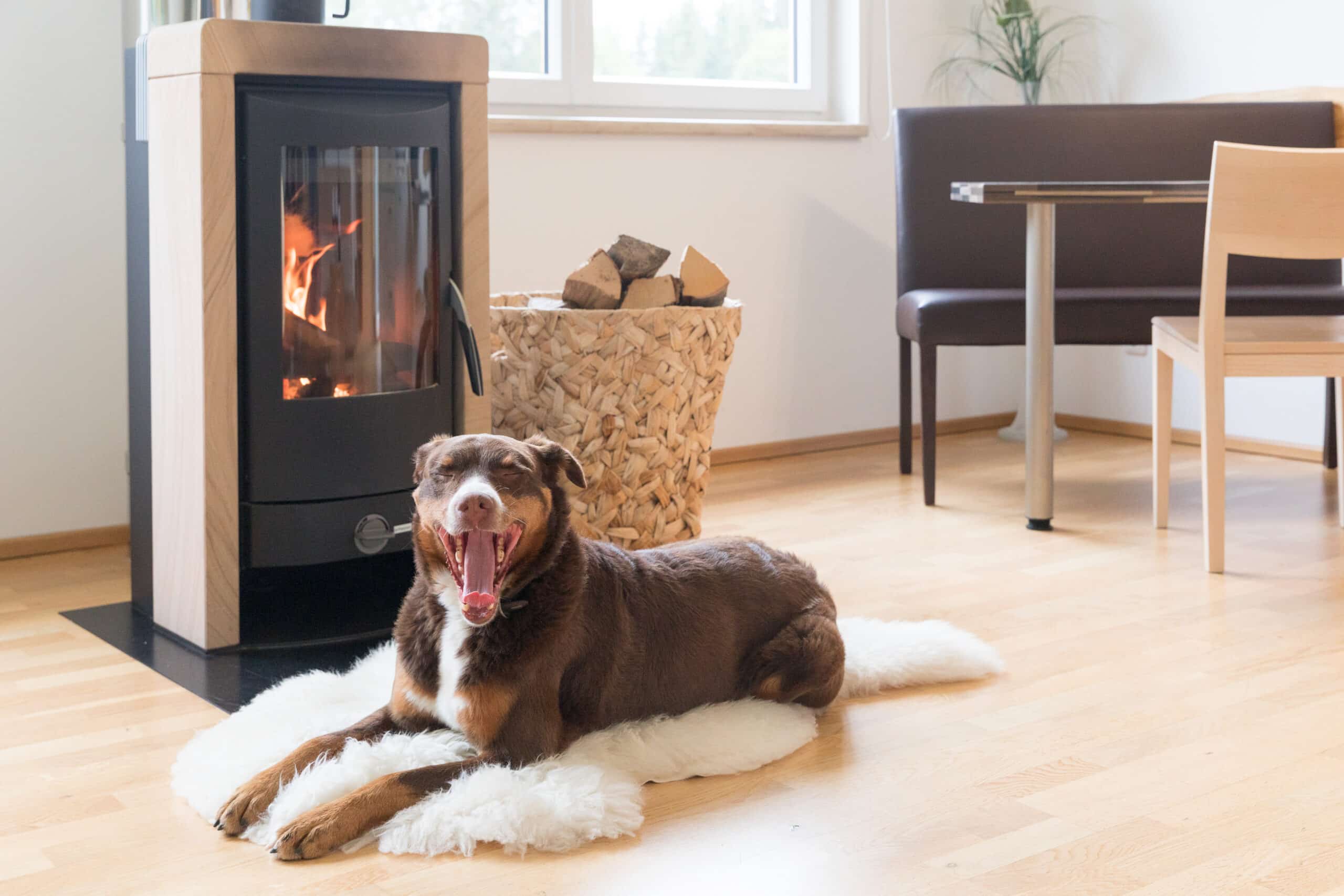 Urlaub mit Hund bei Sabine Kern; Hund in der Lodge, Schwedenofen