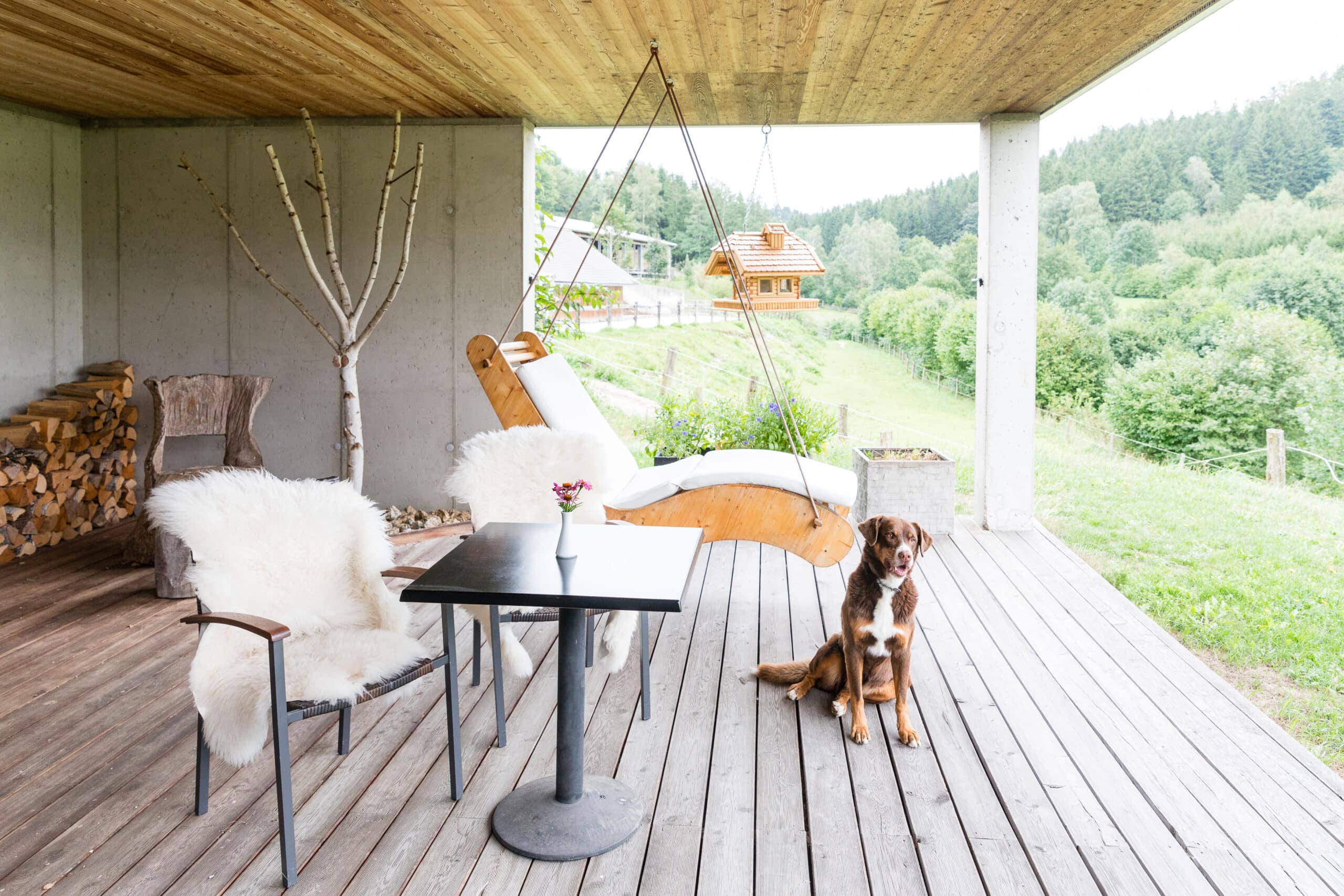 Urlaub mit Hund bei Sabine Kern, Terrasse