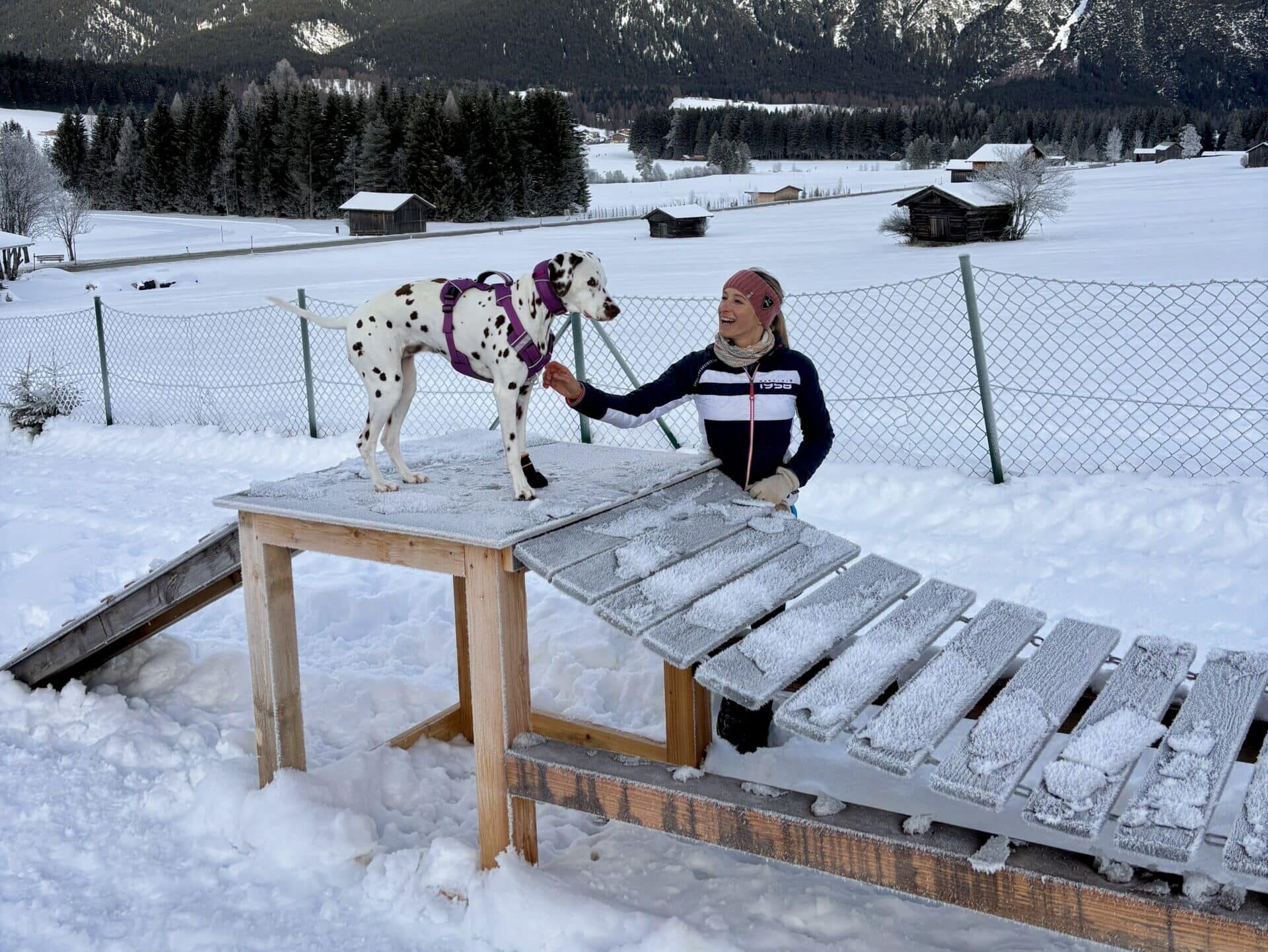 Mooser Hundefreilauf Seefeld, Frau trainiert mit Hund;
