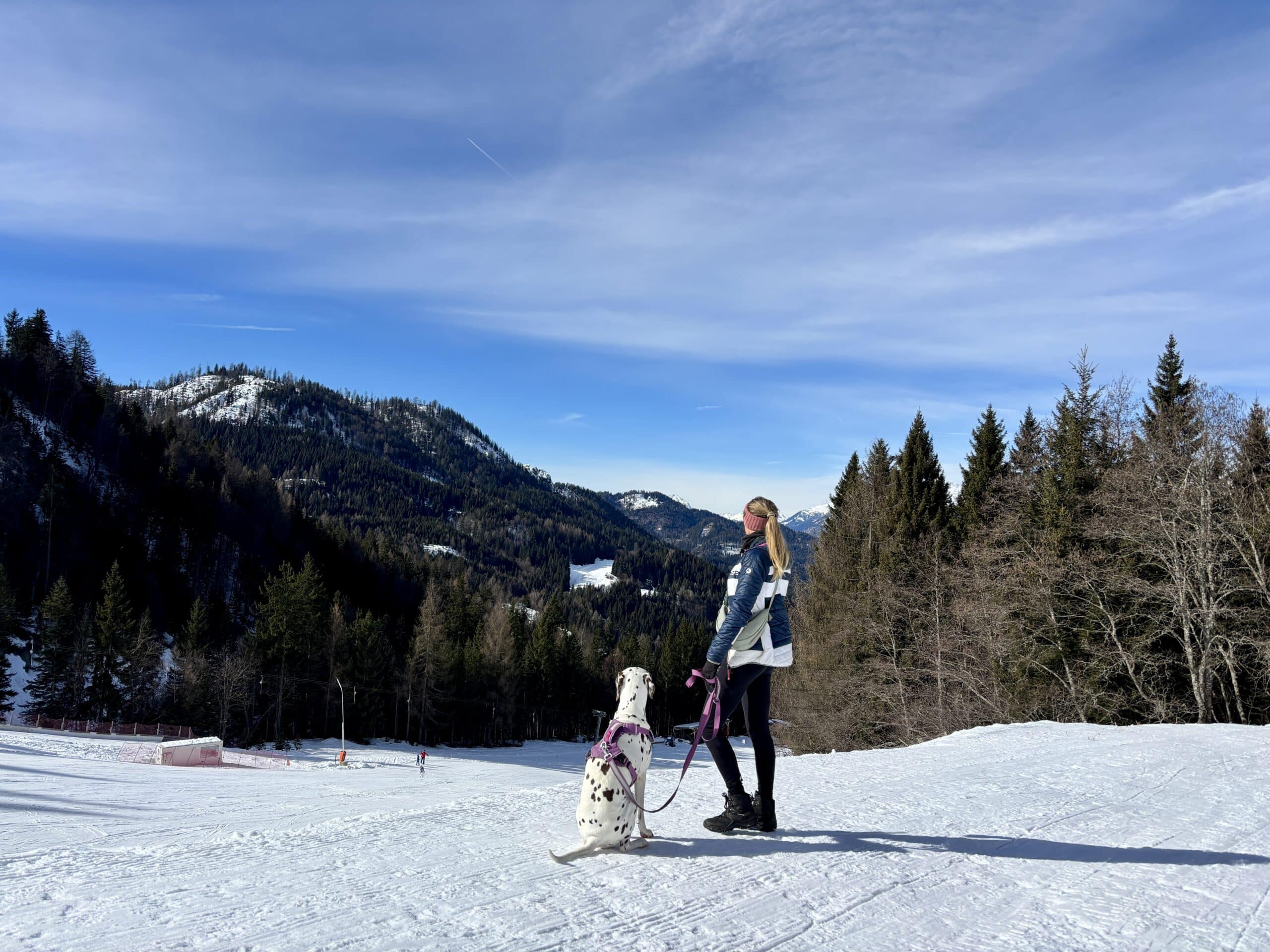 Winterwanderung mit Hund zur Naggler Alm am Weissensee