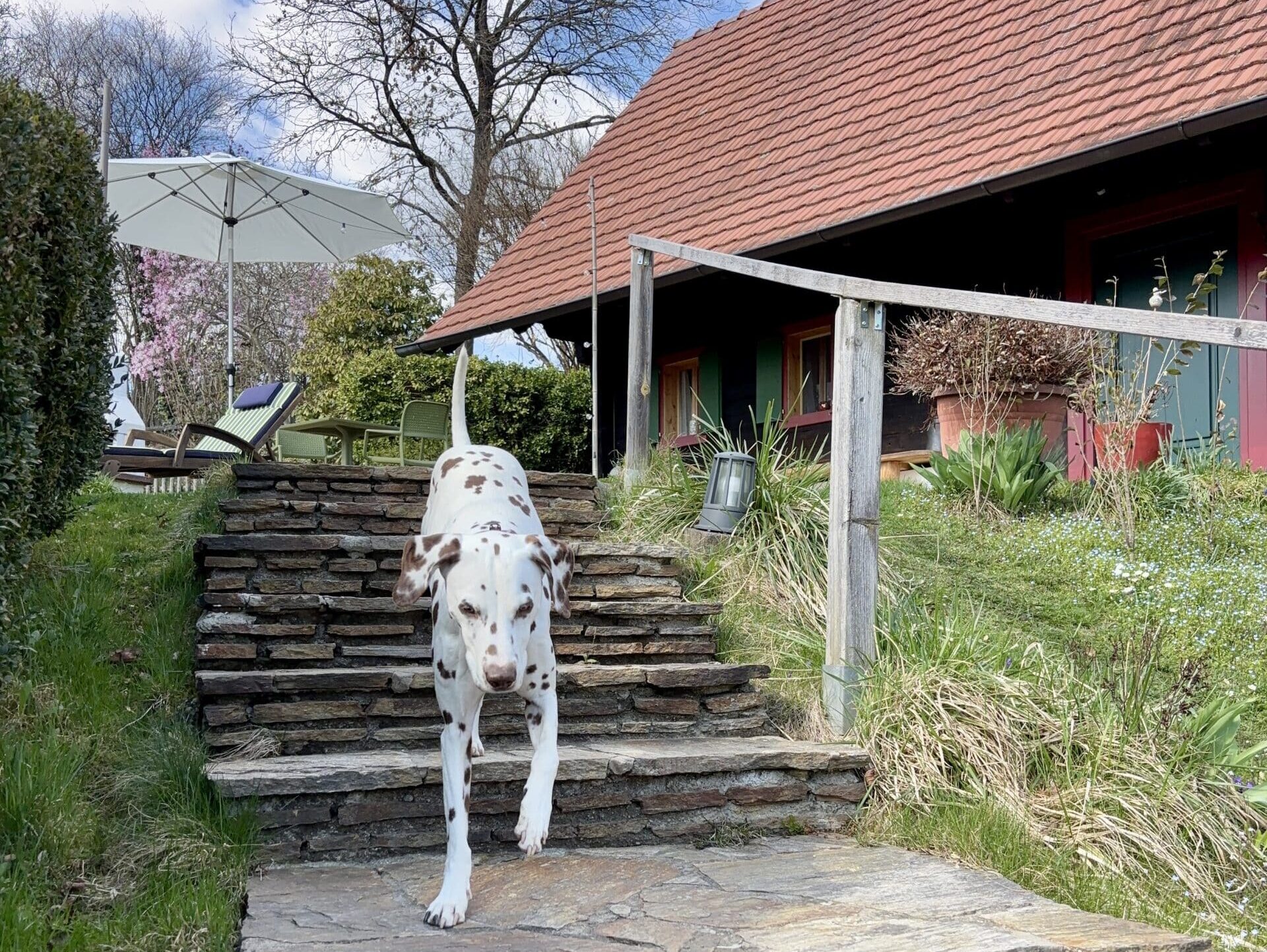 Urlaub mit Hund und eingezäunter Garten