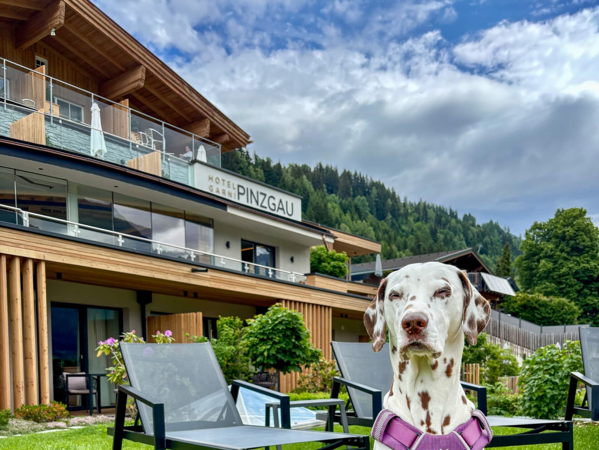 Urlaub mit Hund in Österreich; Hund sitzt vor Hotel
